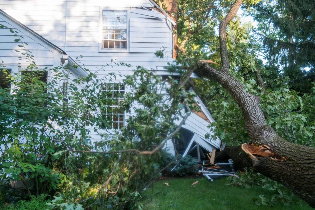 5 Quick Storm Damage Cleanup Strategies