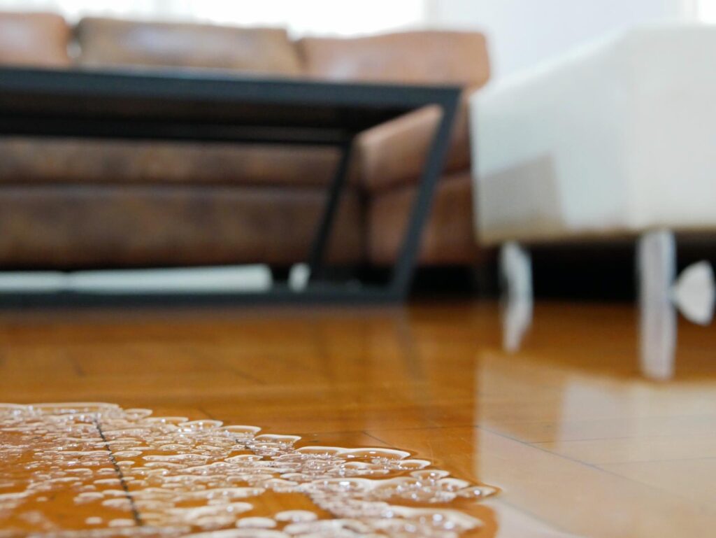 3 Best Emergency Water Damage Restoration Techniques