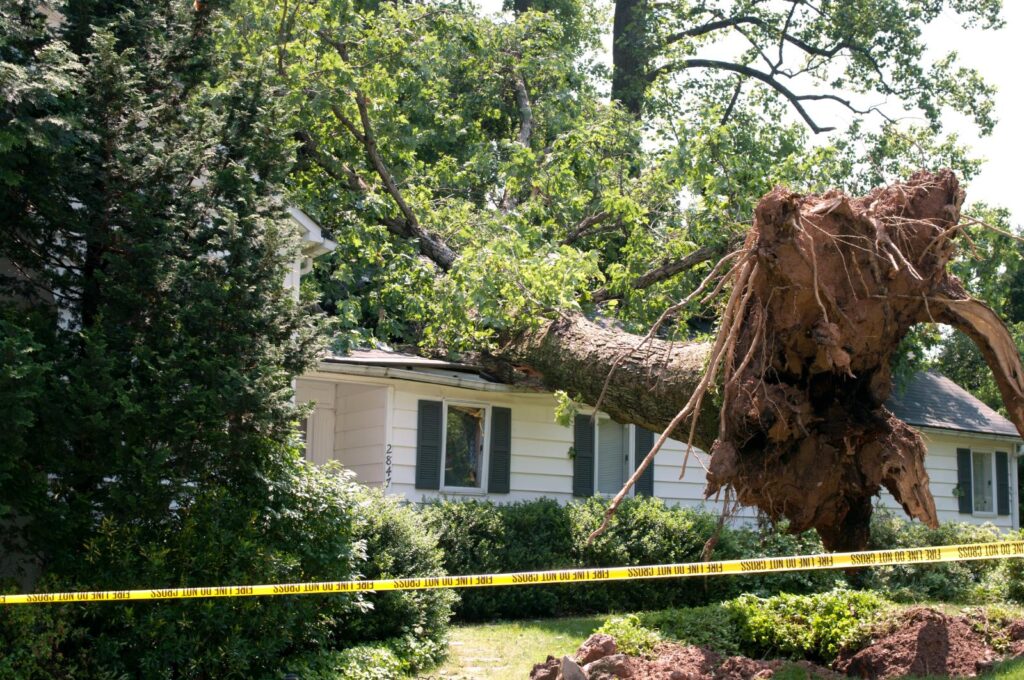 Quick Storm Damage Cleanup: Essential Techniques