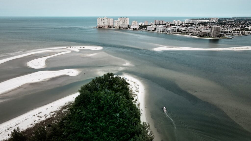 Mold Remediation for Marco Island and Bonita Springs