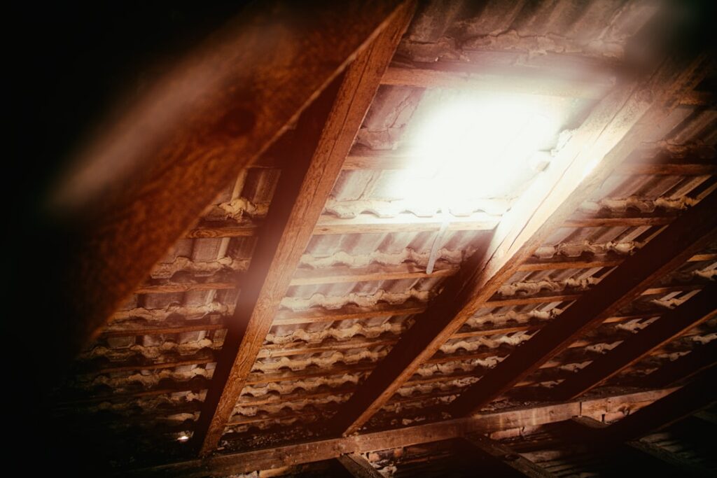 Why Attics Are a Hidden Mold Risk in Naples and Marco Island Homes