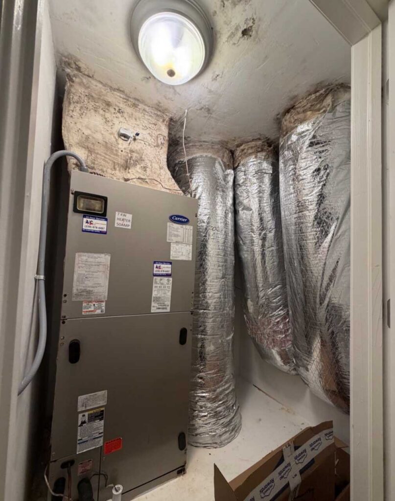 Air Quality Test or Visual Mold Inspection? What Naples Homeowners Should Know