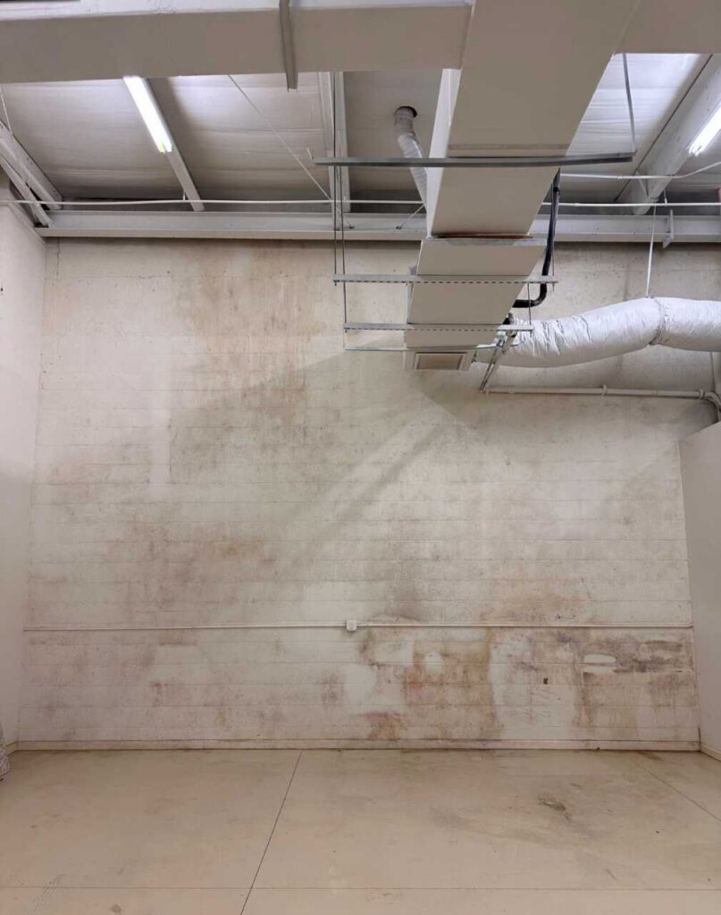 Surface growth consistent with elevated humidity was observed on the diving wall between units 508 & 509.