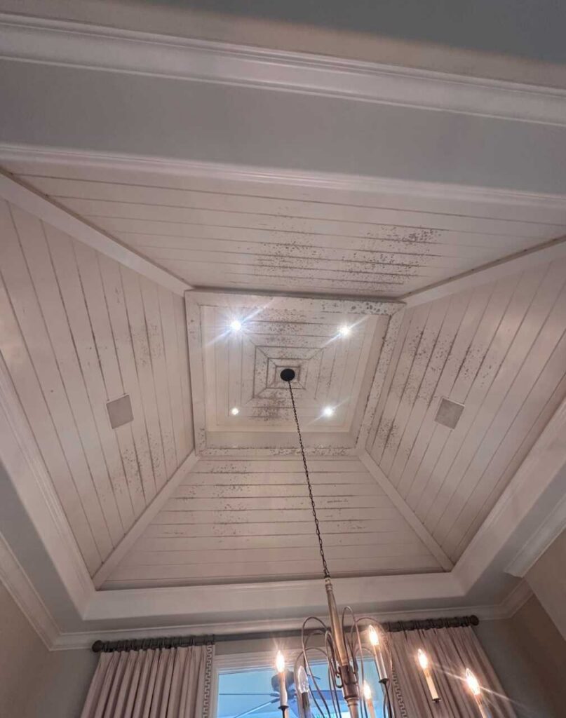 Why New Construction and Recently Renovated Homes in Naples Still Get Mold